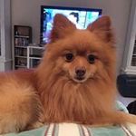 Melanie Couchon - @melanie_couchon - Instagram
