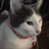 Melanie Crews - @melanie.crews1 - TikTok