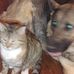 Melanie Cronan - Facebook