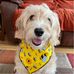 Mel Cronk - Facebook