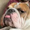 Melanie Knebel-Cronk - @melanieknebelcronk - TikTok