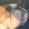 melaniecronk_ - @melaniecronk_ - TikTok