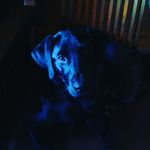 Melanie Danner - @meljdanner - Instagram