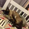 Melanie Davison - @melanie.davison4 - TikTok