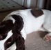 Melanie Denham - Facebook
