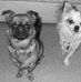 Melanie Dilley - Facebook