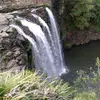 Melanie.Dodds - @melanie.dodds - TikTok