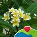 Melanie Dolde - Facebook