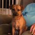 Melanie Downs - Facebook