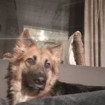 Melanie Dufour - @melanie.dufour.12979 - Instagram