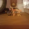 Melanie N Dustin - @melaniendustin - TikTok
