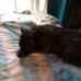 Mel Easterling - Facebook