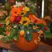 Melanie Yaste Edling - Facebook