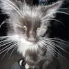 Melanie Edwards - @melanieedwards16 - TikTok