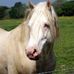 Melanie Edwards - Facebook