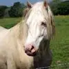 Melanie Edwards - @melanie.edwards71 - TikTok