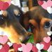 Melanie Efird - Facebook