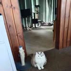 Melanie Egan - Facebook