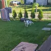 melanieengels - @sunshine.mel1 - TikTok