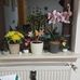 Melanie Englerjungheim - Facebook