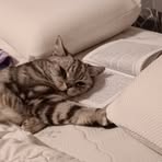 Melanie Erhardt - Facebook