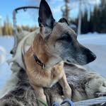 Melanie Ebersole - @chaosandcourageinak - Instagram