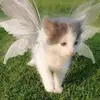 Melanie.fairy - @melanie.fairy8 - TikTok