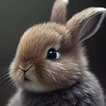 Melanie Ferrell - @mrlanieferrell - Instagram
