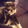 Melanie Fine - @melanie.fine - TikTok