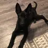 Melanie Fitzpatrick - @melaniefitzpatric1 - TikTok