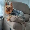 Melanie Fitzpatrick - @melanie.fitzpatri4 - TikTok