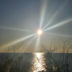 Melanie Forney - Facebook