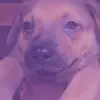 Melanie Gallardo - @melanie.gallardo65 - TikTok
