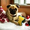Melanie Garside - @melanie.garside - TikTok