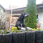 Frau Huibuh - @melanie.geist - Instagram