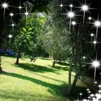 Melanie Glasbrenner - Facebook