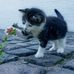 Milena Grabowska - Facebook