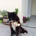 Melanie Grubb - Facebook