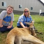 Melanie Grubbs - @melaniegrubbspetpsychic - Instagram