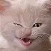 Melanie Hagerman - @melaniehagerman - TikTok