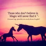 Melanie Hammer - @yogihorse - Instagram