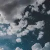 melanieharbord - @melanieharbord - TikTok