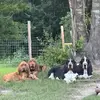 melaniehare - @southalabamabassets - TikTok