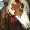 Melanie Heaton - @melanieheaton8 - TikTok