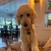 Melanie Heaton - @melanie.heaton6 - TikTok