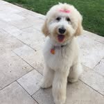 Melanie Heaton - @turtlewalk - Instagram