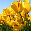 melanieheaton - @melanieheaton - TikTok