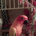 Melanie Hinkle - Facebook