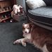 Melanie Hobson - Facebook