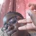 Malani Holder - Facebook